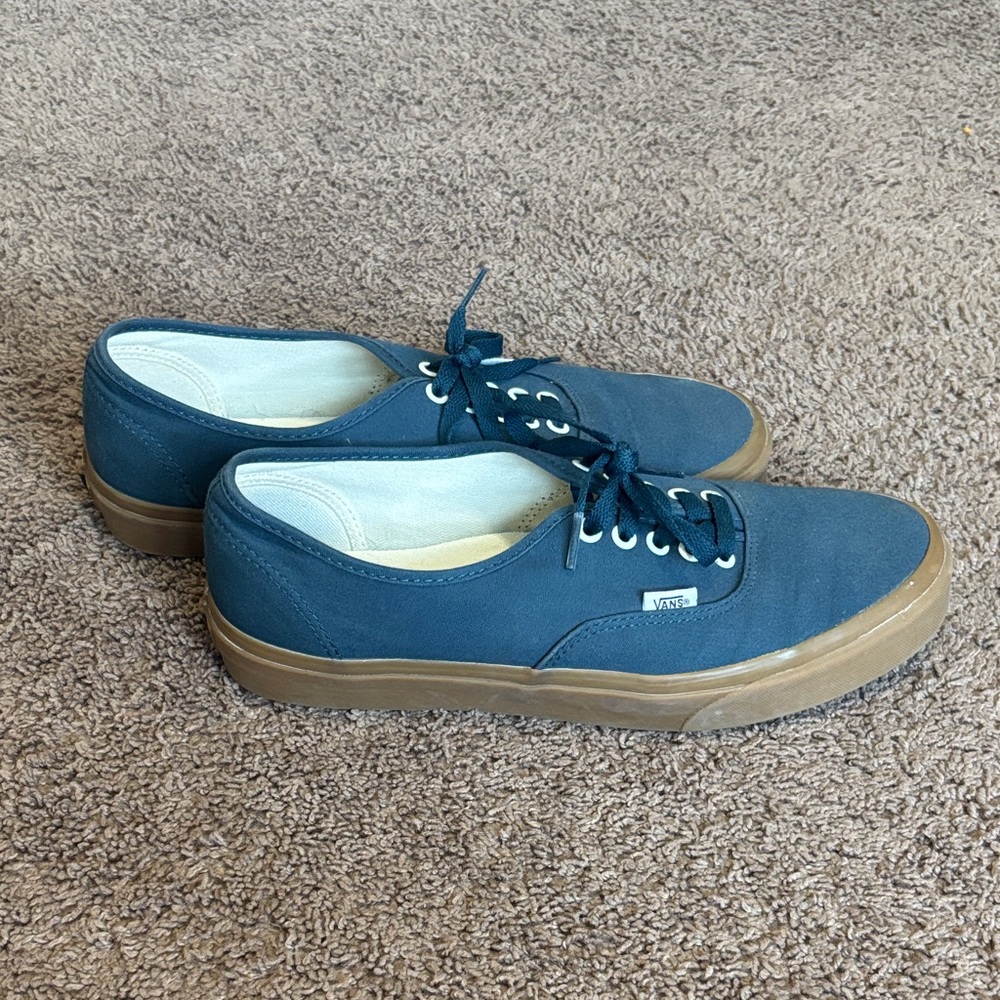 Vans Men's Teal/Blue Canvas Sneakers
